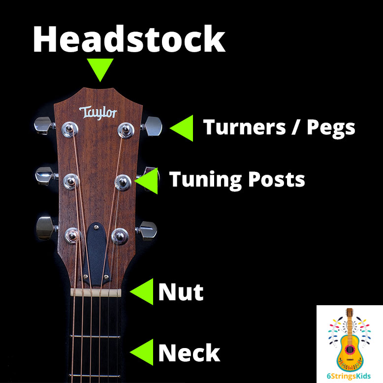 headstock with labeled parts